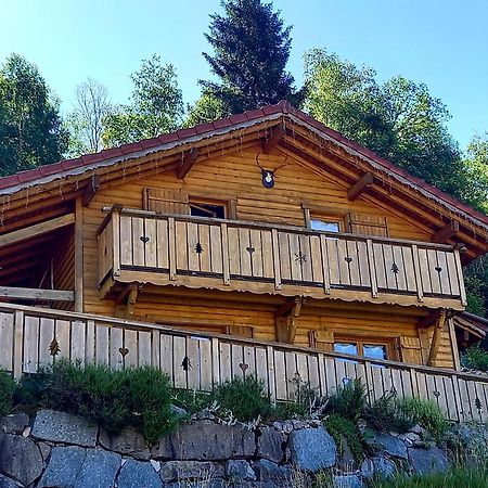 Chalet Typique Vosgien "Les Barbotines" Ventron Exterior photo